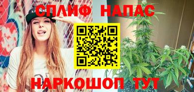 шишки Новозыбков