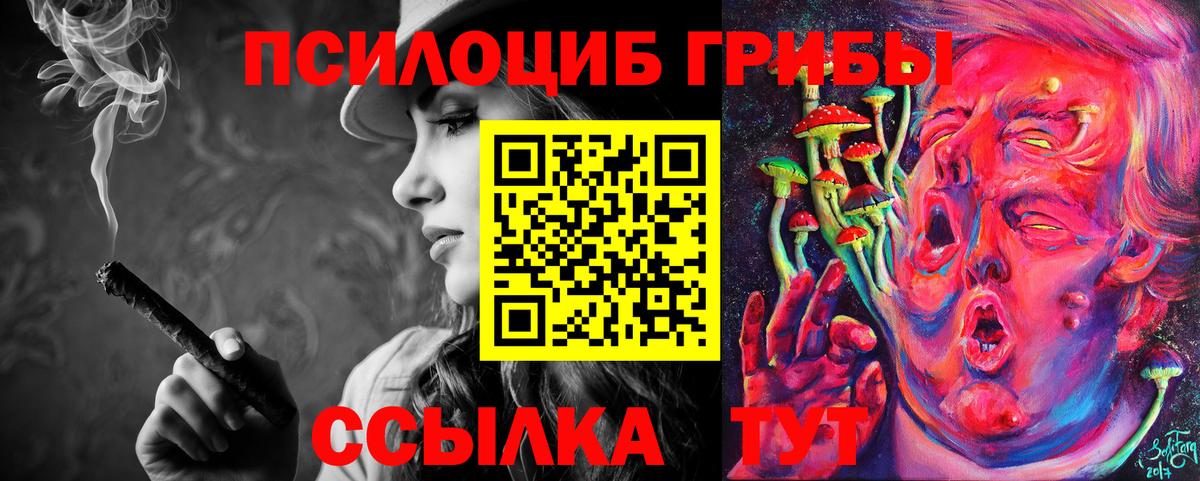 Псилоцибиновые грибы Psilocybe Сосновоборск